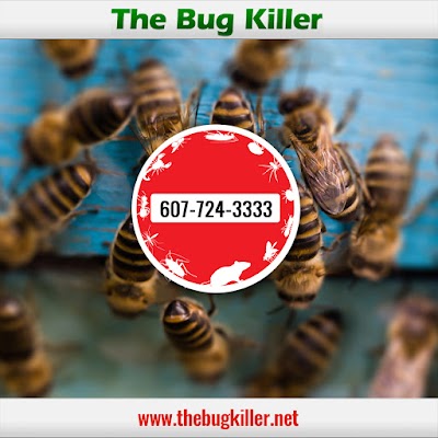 The Bug Killer