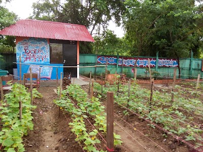 Photos of Junior High School 25 Padang