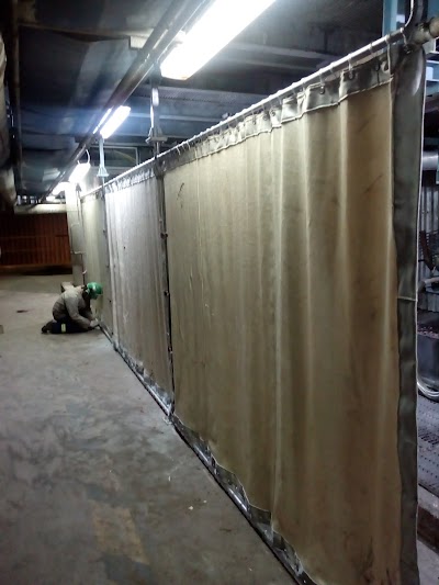 Photos of Valdivia cellulose plant