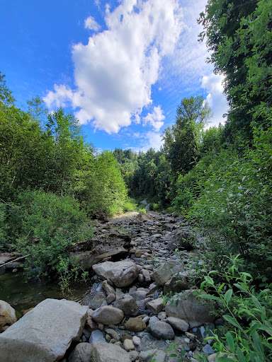 Racehorse Falls Gallery - United States
