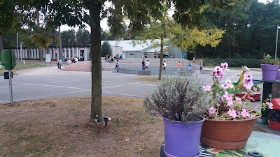 Photos of Ruitersclub-Kattevenia