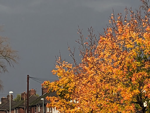 Etruria Park - Visual