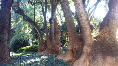 Photos of Villa Ocampo