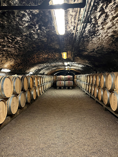 Photo de Château de Lachassagne à Lachassagne (69480)