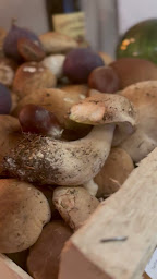 Photo n°69 de IKARO NICE à Nice (Restaurant de cuisine fusion)