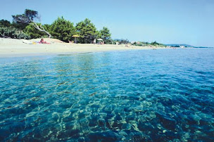 Photo n°67 de Camping Corse Corsica Camping chaine de campings à San-Nicolao (Agence de voyages)