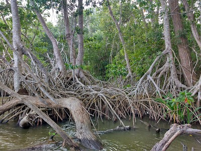 Photos of R&iacute;o San Pedro