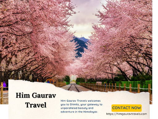 Looking for a reliable travel agency in Shimla to turn your vacation dreams into reality? Look no… post image