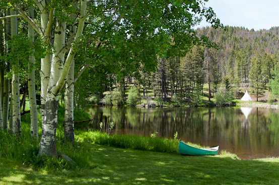 Feathered Pipe Ranch by null