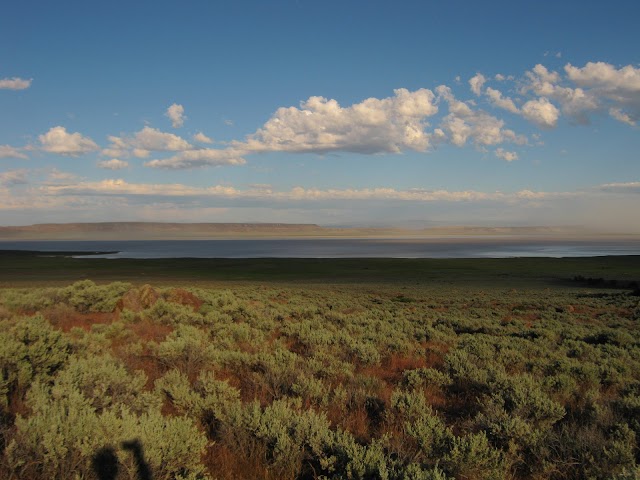 Alvord Desert