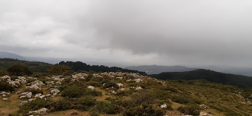 Llusa - Visual