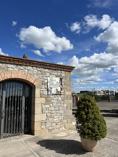 Mas solsona - Visual