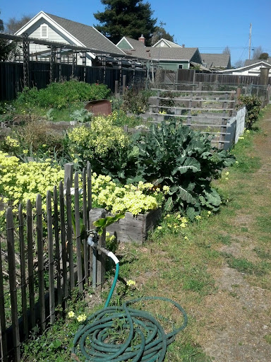 Lighthouse Neighborhood Park - Thumbnail
