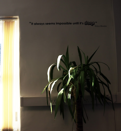 Simply Hammocks - Visual