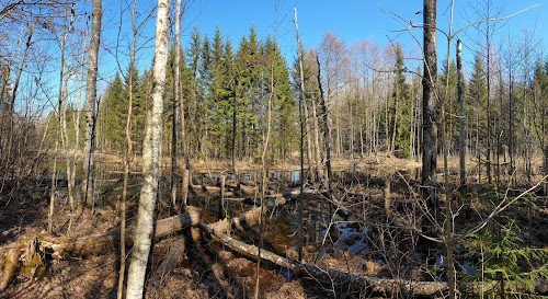 Koprarada - Beaver Trail