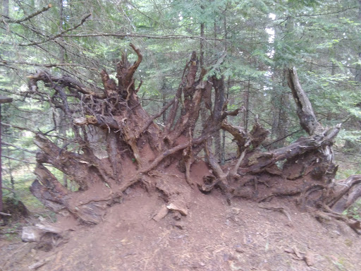 Threehorn Campground - Visual
