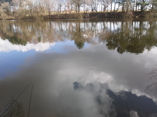Delamere - Visual
