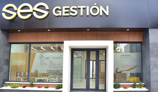 SES Gestión - Visual