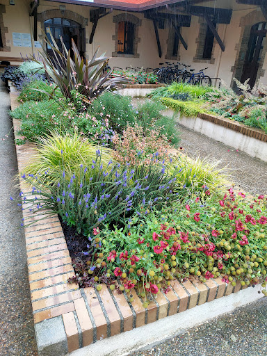 CI Agroforestal - Visual