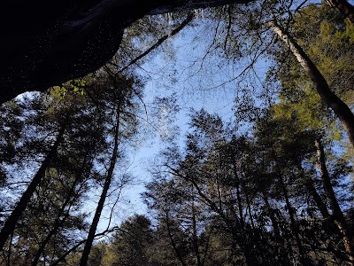 Colditz Cove State Natural Area