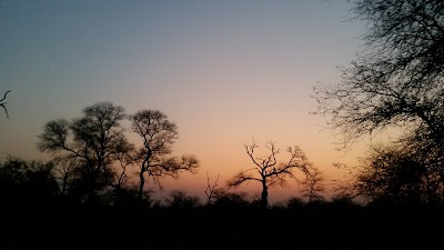 Photos of Phumba Safaris