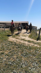 Photo n°2 de L'écurie du Galop à Virazeil (Centre équestre)