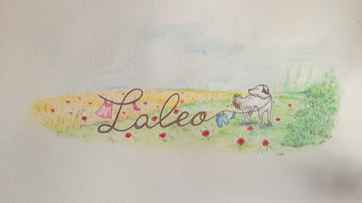 Laleo - Visual