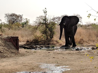 photo of Zakouma National Park