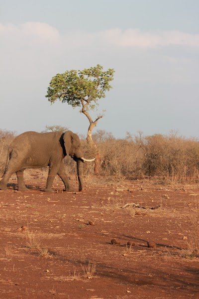 Photos of Mooifontein