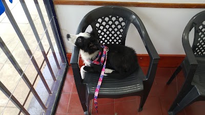 Photos of Consultorio Veterinario San Luis