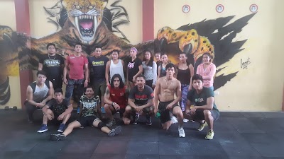 Photos of Selva box-fit