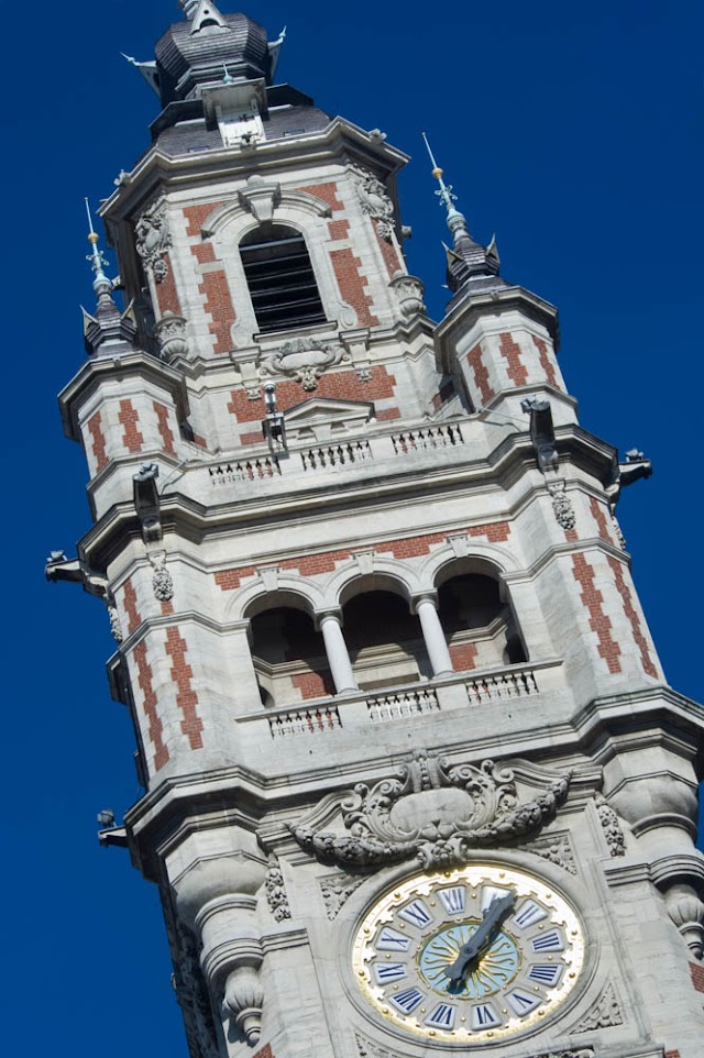 CCI Grand Lille