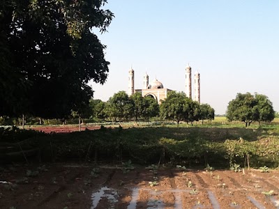 Photos of Masjid-ut-Taqwa