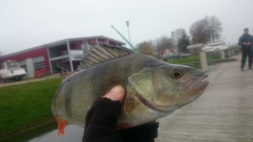 Šilutės Mažųjų laivų uostas