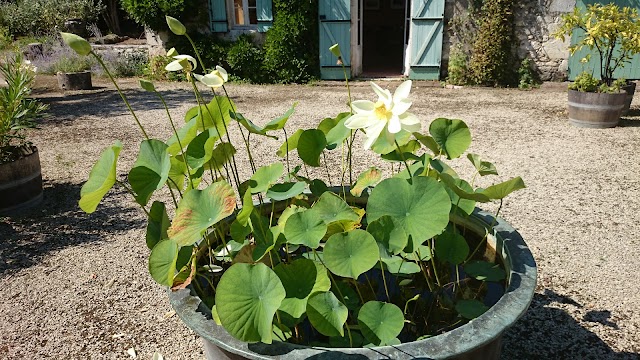 Les Jardins de Sardy