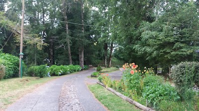 Photos of Parque Los Arrayanes