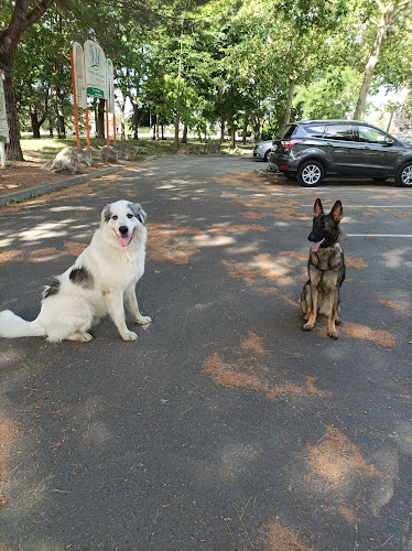 Numéro de téléphone de Objectif Canin - Éducateur Comportementaliste Canin