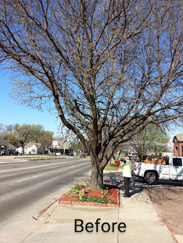 A & E Tree Service L.L.C.