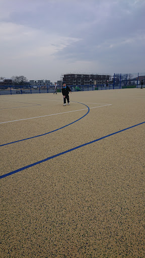 CU Arena - Visual