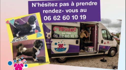 toutou c'wouaf
