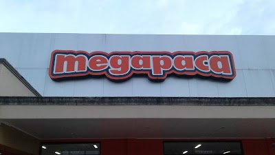 Photos of Megapaca