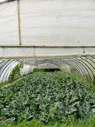 Photo n°14 de La Ferme des Millonets à Vienne-en-Arthies (Maison d'hôtes)