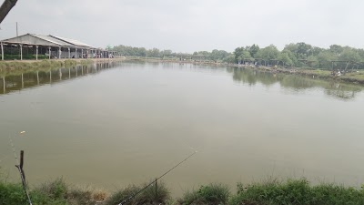 Photos of Fishing pond Great milkfish - Tambak Jaya 2