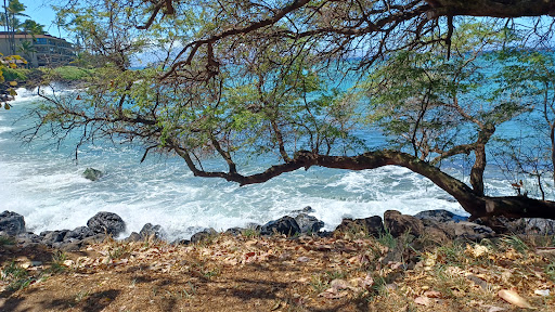 Pohaku Beach Park Gallery - United States
