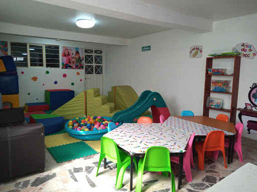 INSTITUTO VIGOSKY A.C.