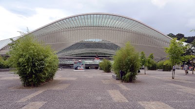 Photos of Liege-Guillemins