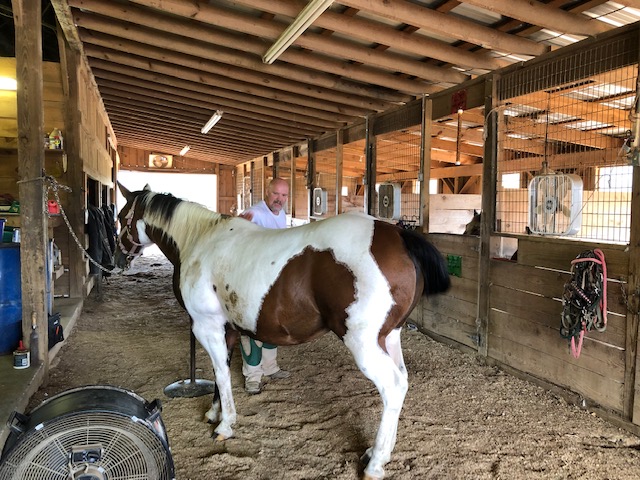 Curryville Centennial Farm and Arena