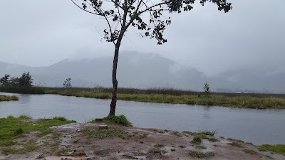 Photos of LA COROTA