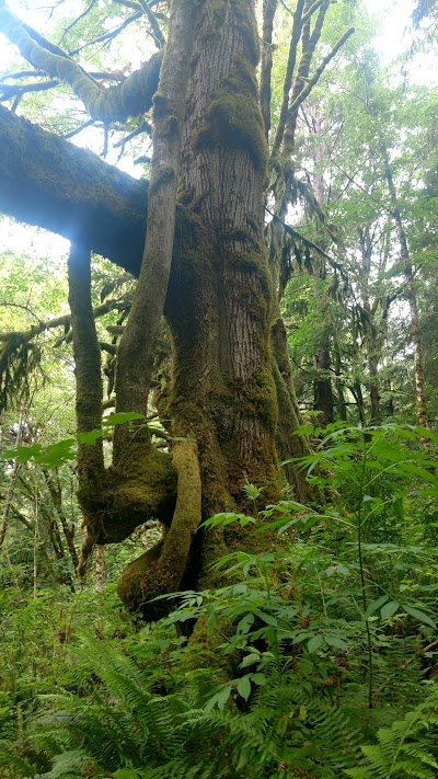 Big Creek County Park