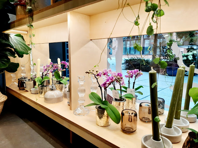 8B Sayer St, London SE17 1FY, United Kingdom
